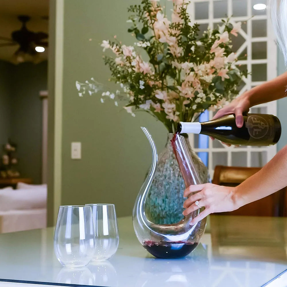 Liquid Loop Wine Decanter