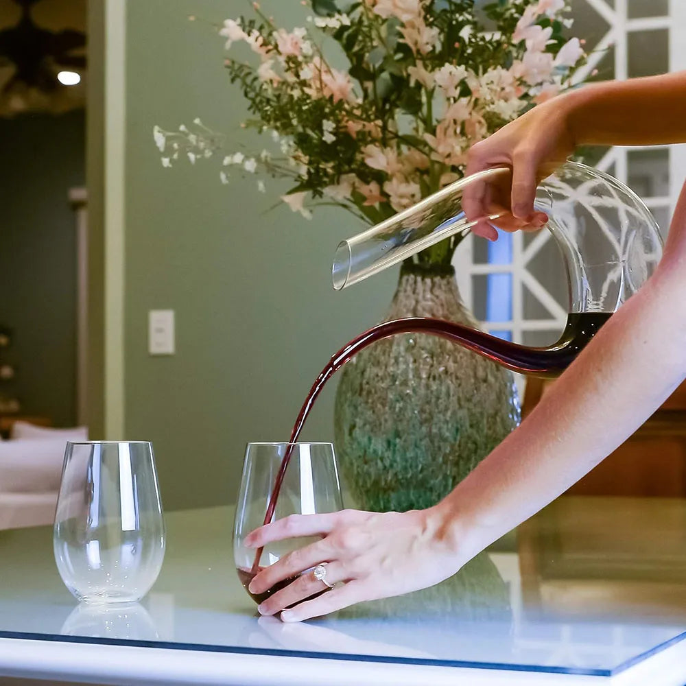 Liquid Loop Wine Decanter